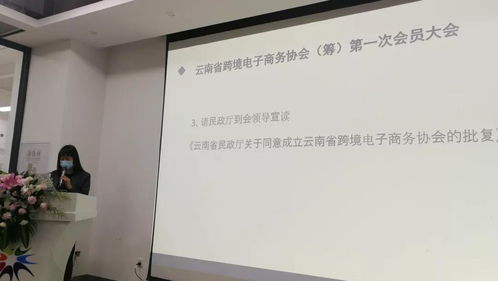 五洲跨境參加云南省跨境電子商務協會第一次會員大會，共謀電子商務技術開發新篇章
